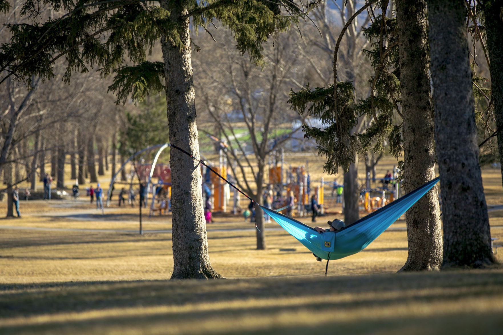 Hammocking in the sun at Pioneer Park